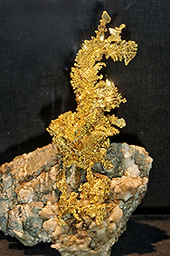 „Der Goldene Drache”